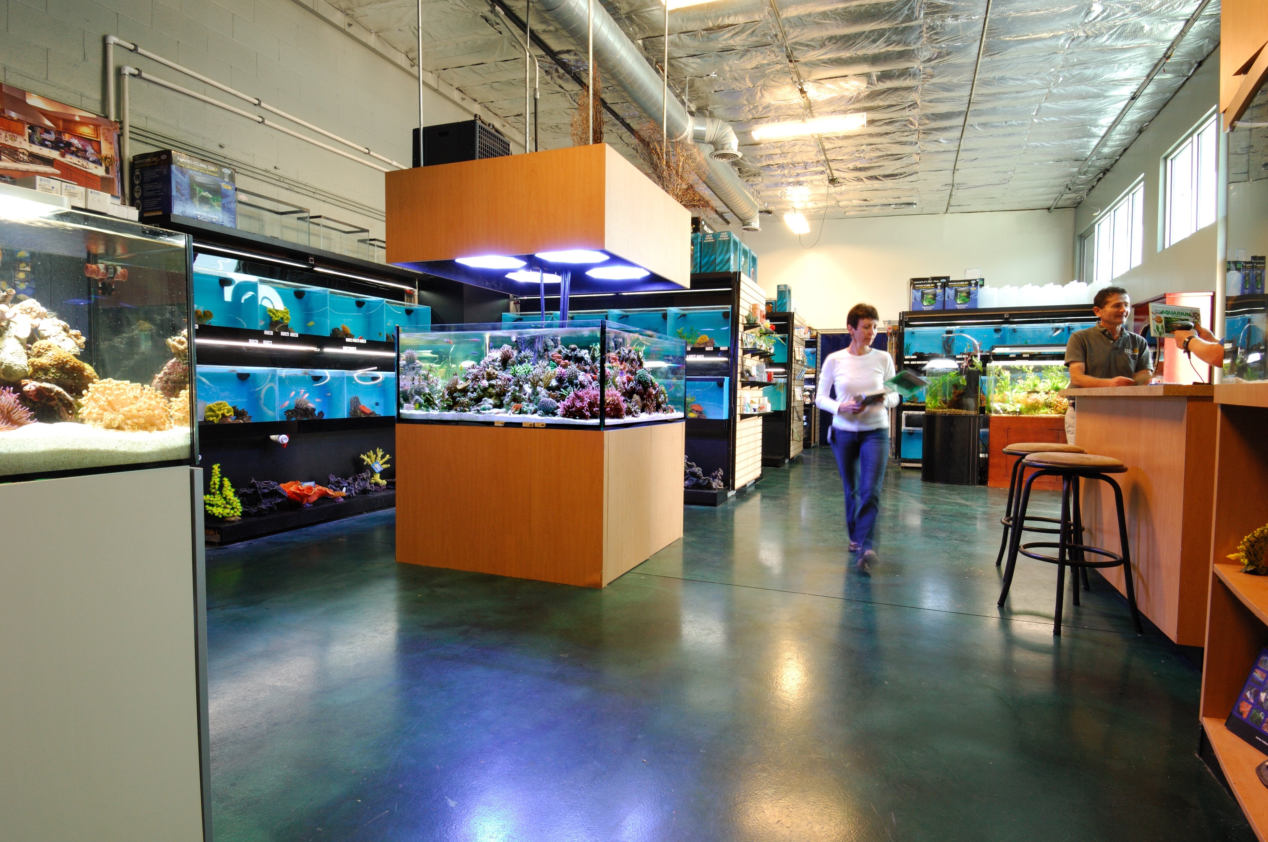 Image showcasing Top 10 Aquarium Trends for 2025: Smart Tech, Custom Design, and ...