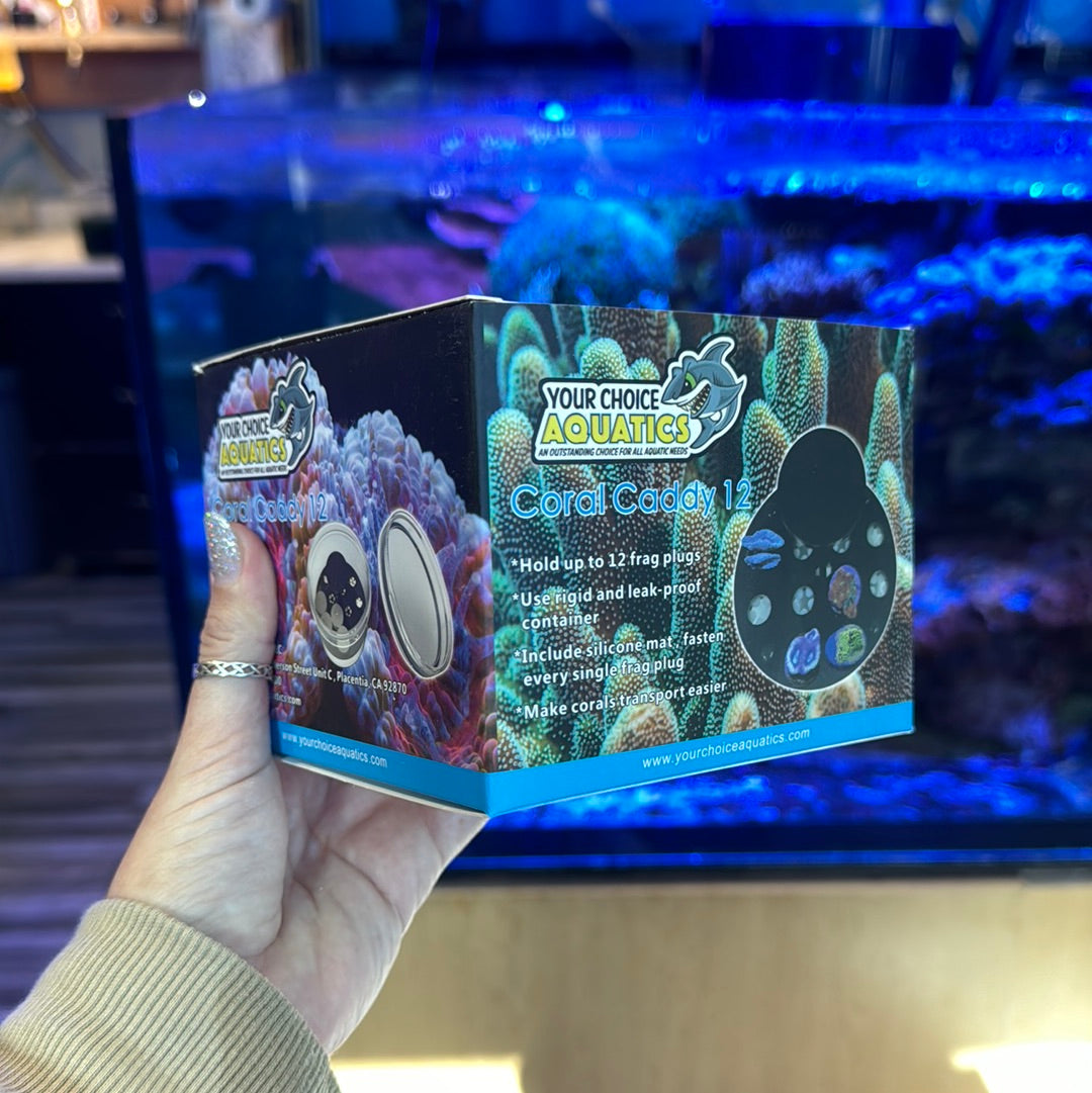 Coral essentials kit