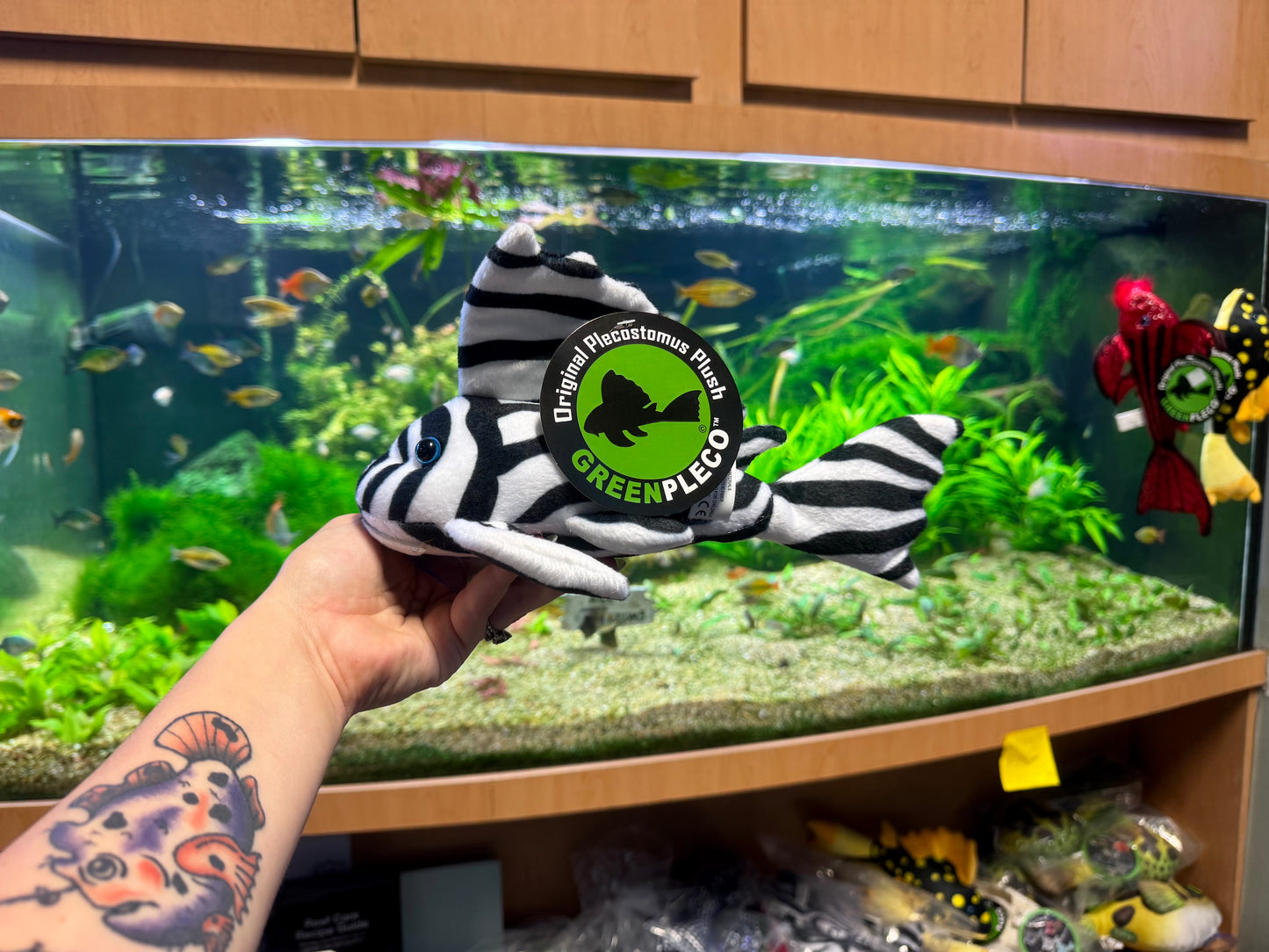Pleco Plush