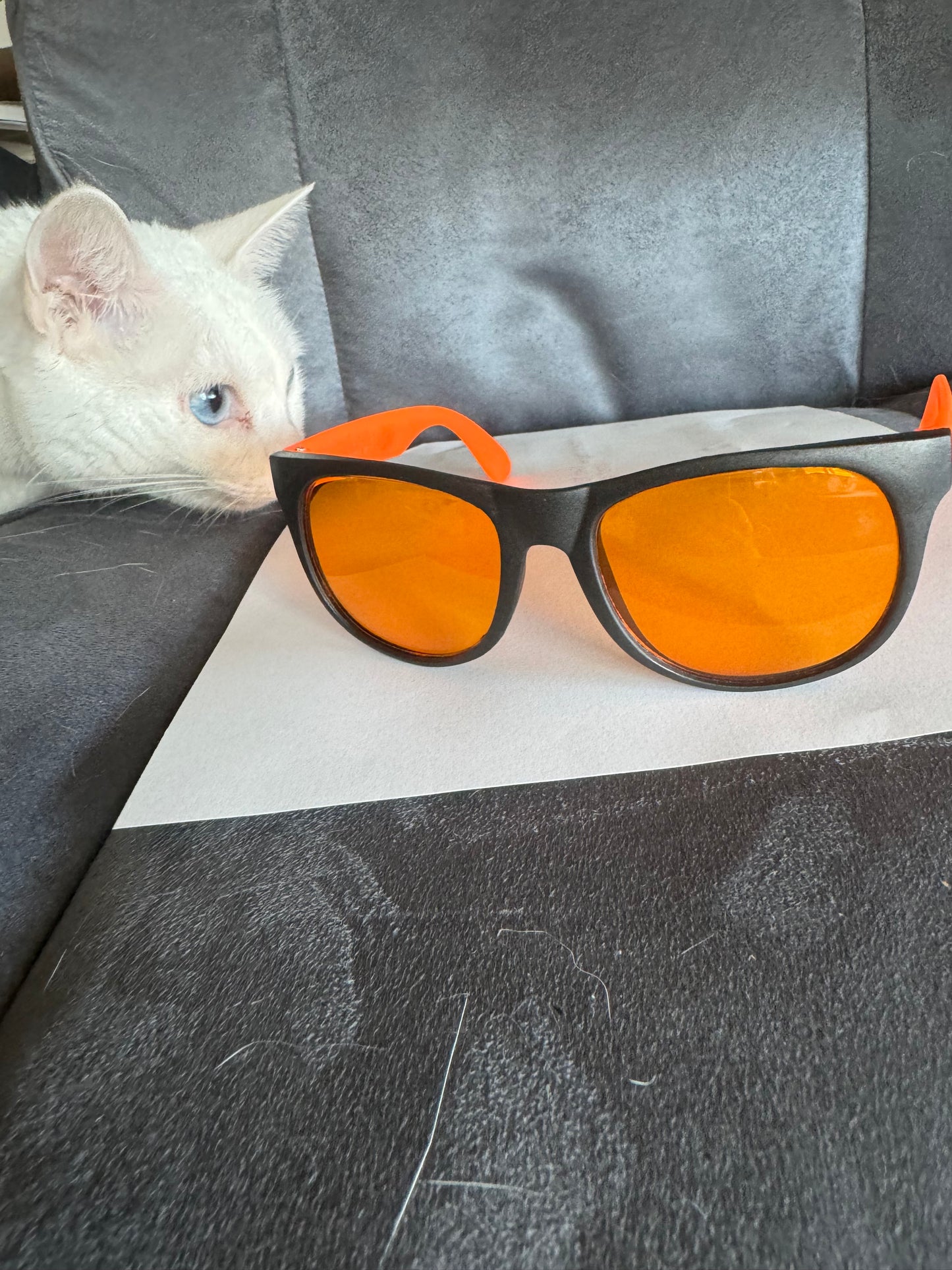 Coral Glasses by Sea Dwelling Creatures