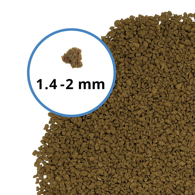 Fluval Bug Bites Bottom Feeder Formula