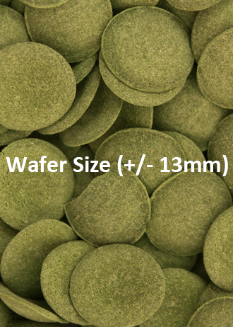 Ocean Nutrition Grazing Wafers