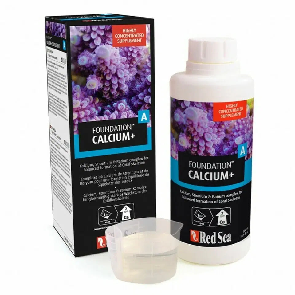 Red Sea Foundation A Calcium+