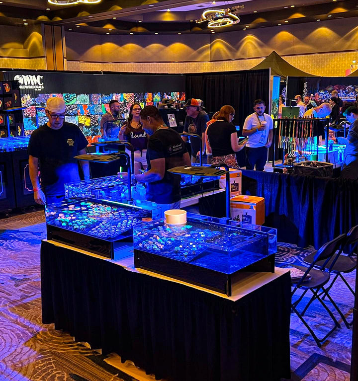 Reefapalooza 2025: Showcasing Age of Aquarium Services at Anaheim Marriott, California Saltwater Aquarium Trade Show