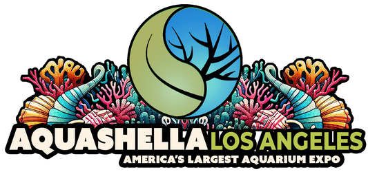 Aquashella 2025