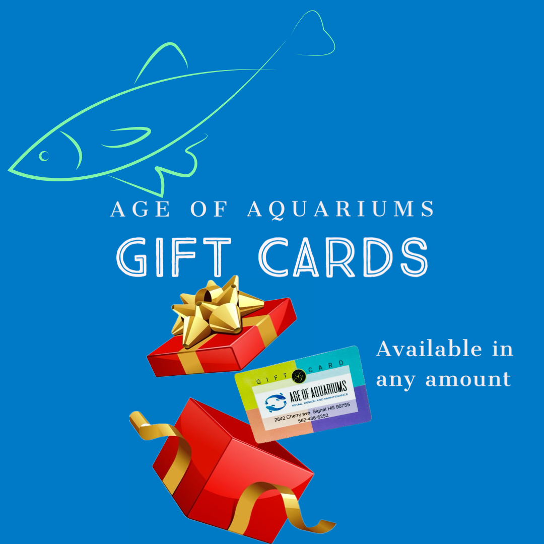 Gift Cards