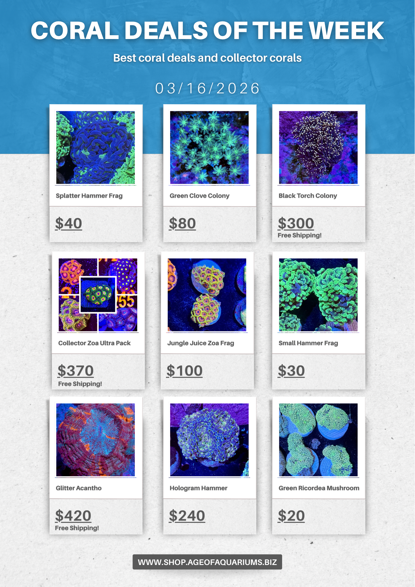 Coral deals of the week