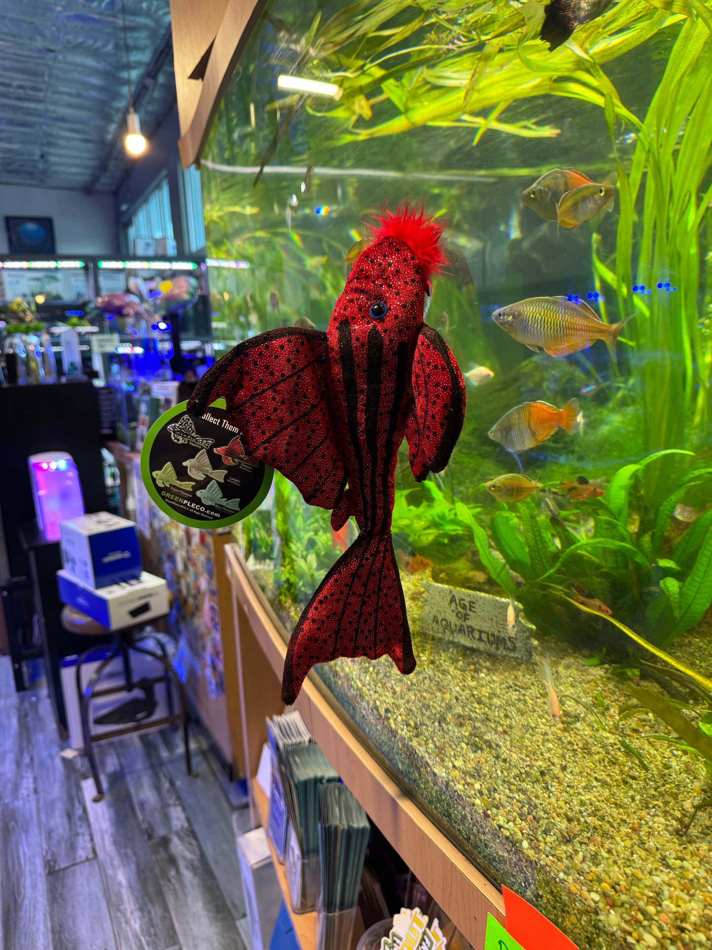 Pleco Plush