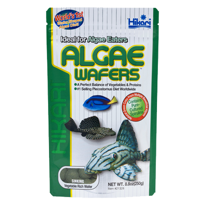 Hikari Algae Wafers