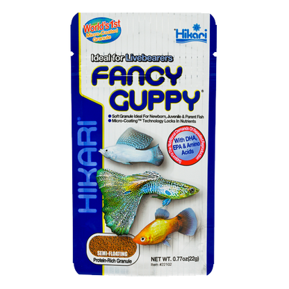 Hikari Fancy Guppy
