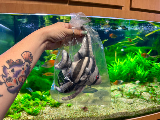 Angelfish Plush