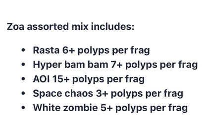 Collector Zoa Assortment