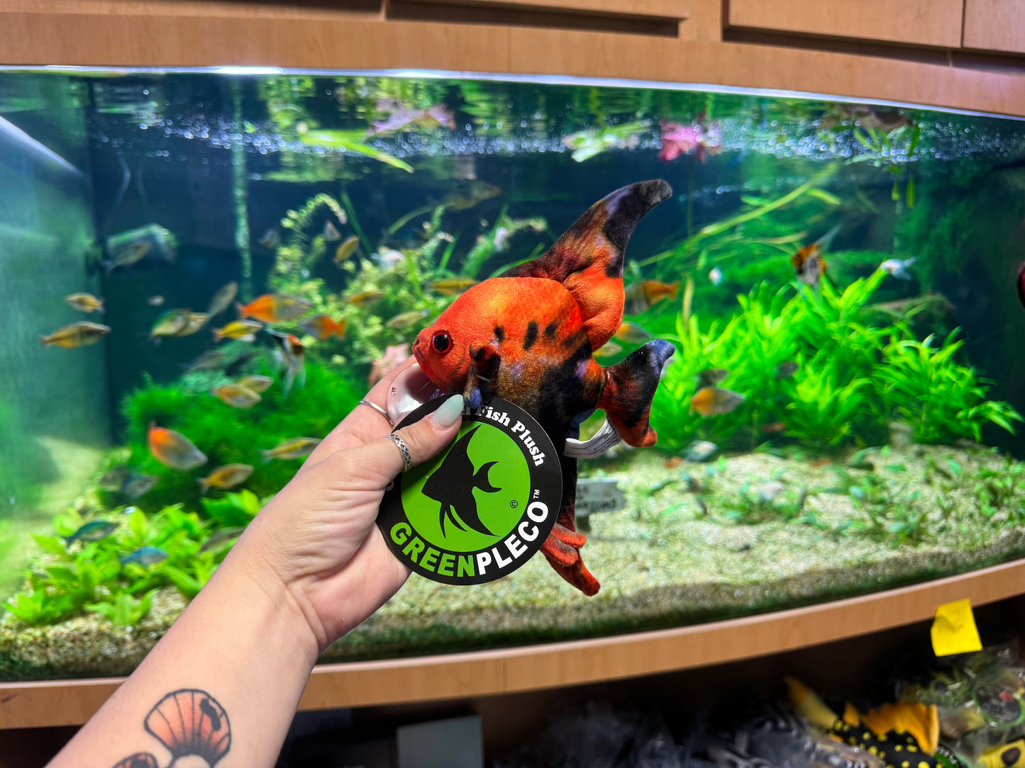 Angelfish Plush