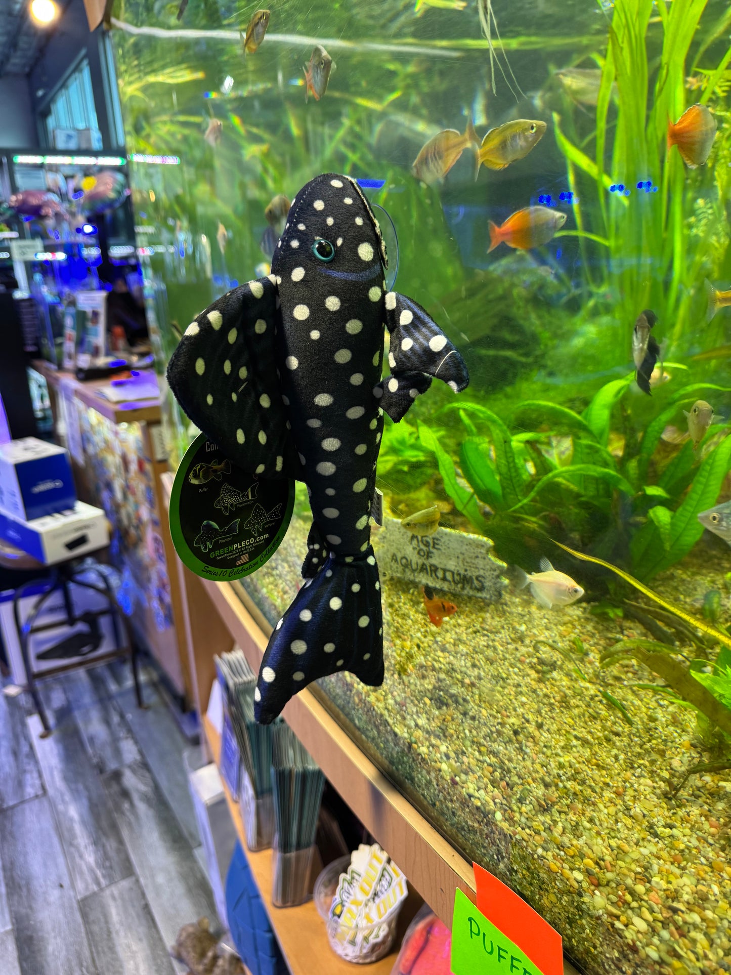 Pleco Plush