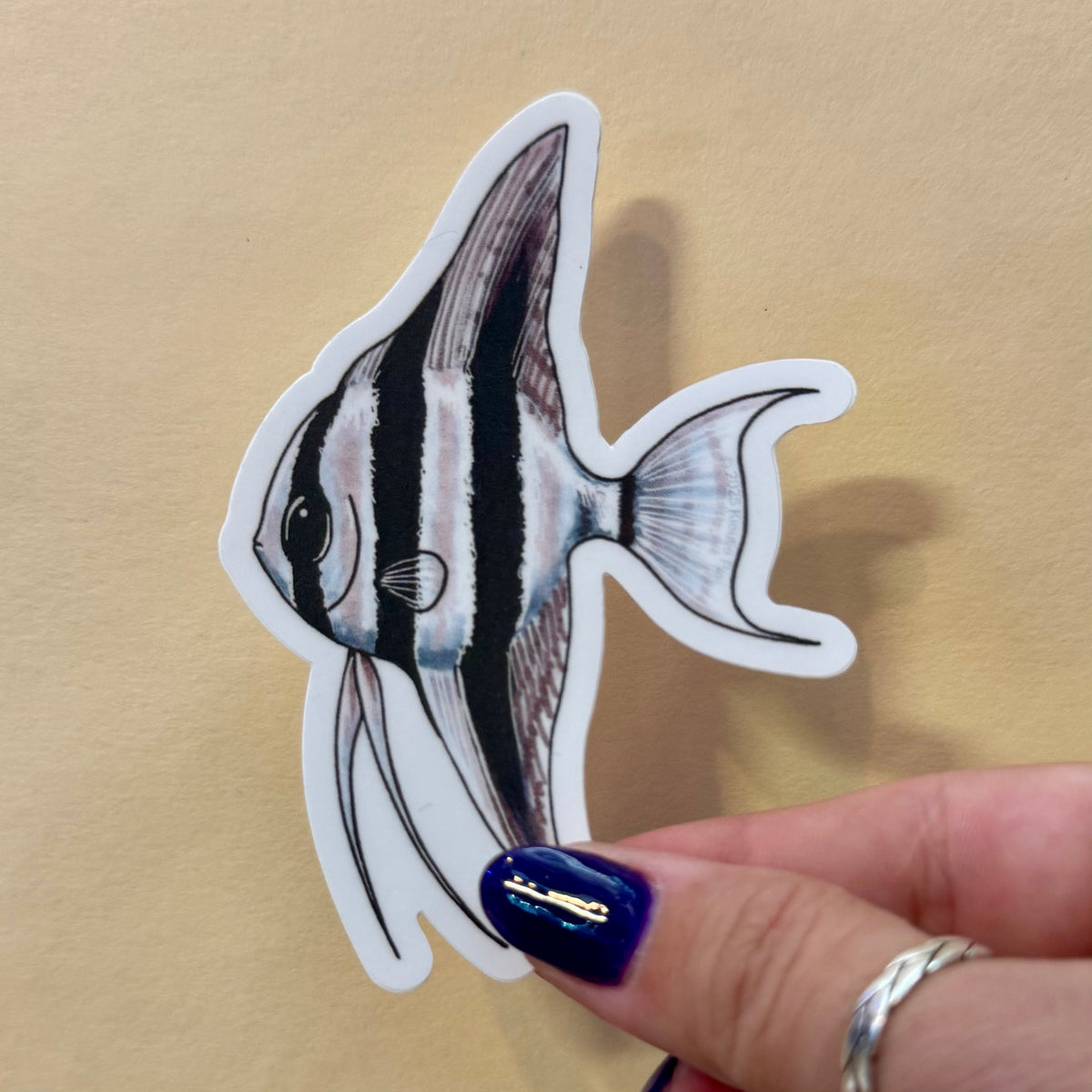 Angelfish Sticker