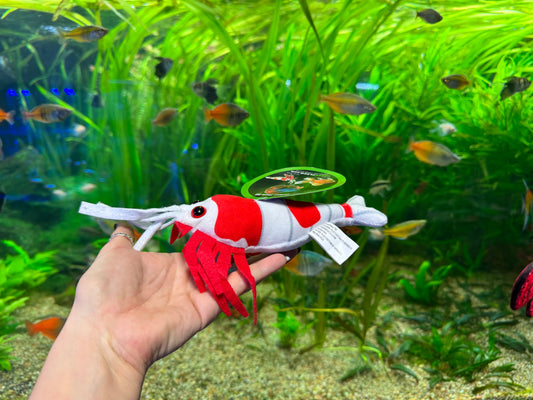 Shrimp Plush