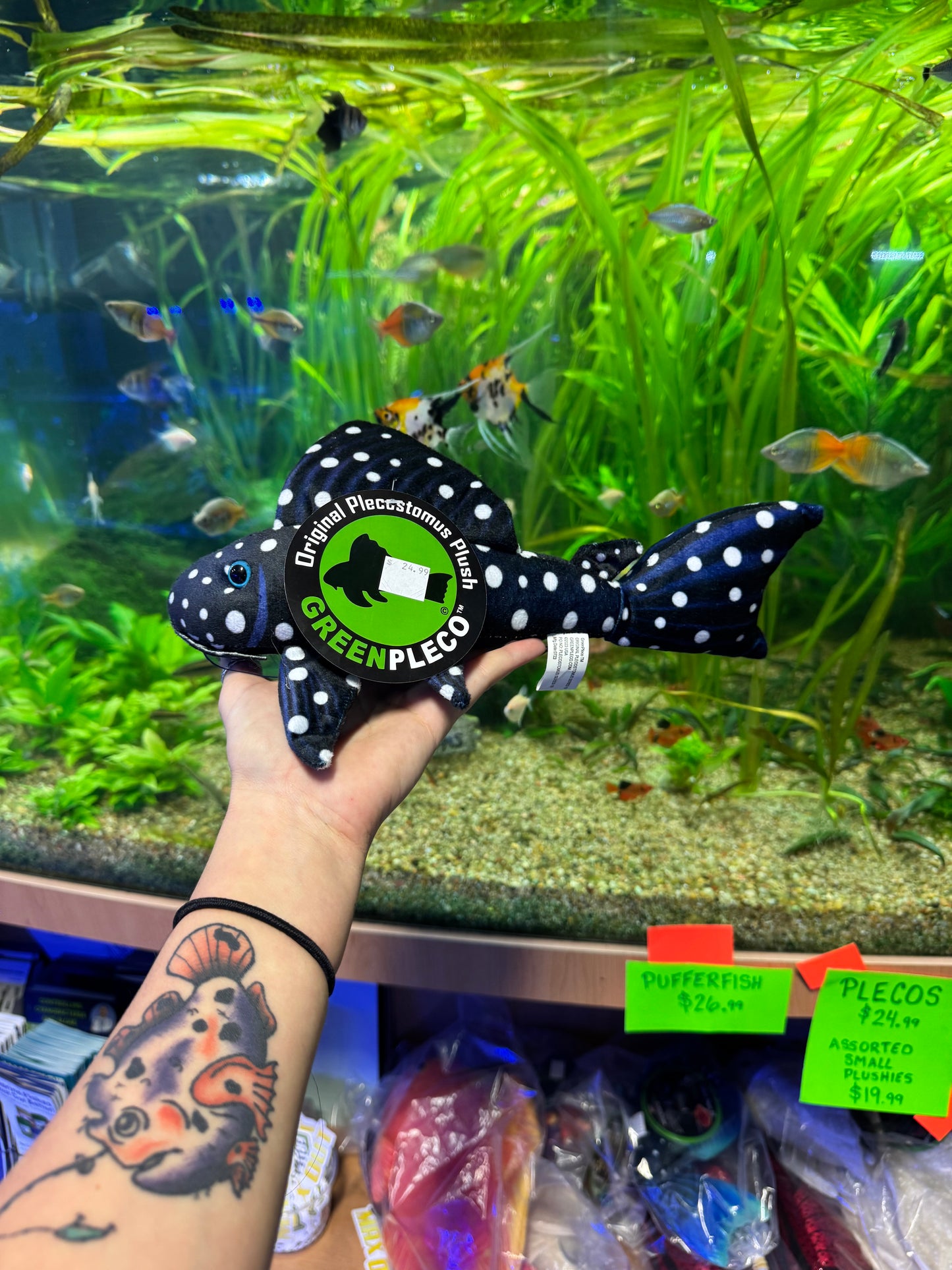 Pleco Plush