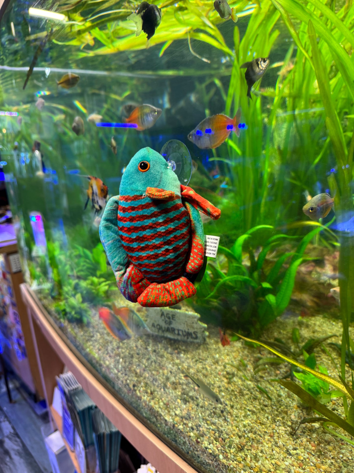 Dwarf Gourami Plush