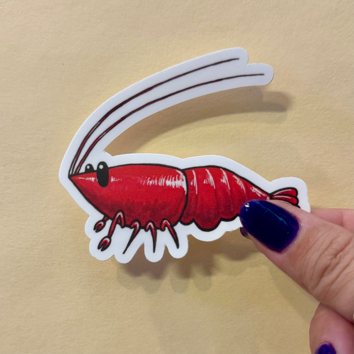 Cherry Shrimp Sticker