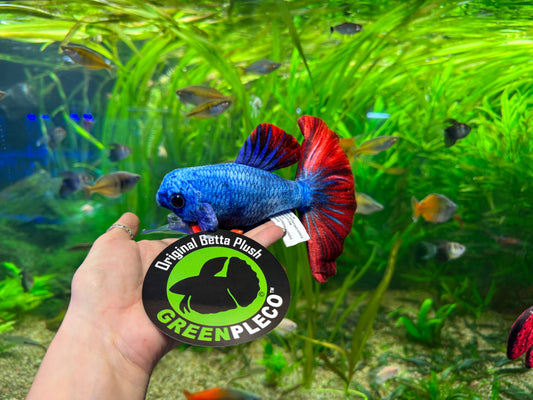 Betta Plush