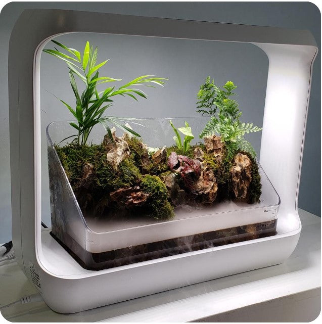 Lifegard LED Rock Garden Kit with Terrarium Waterfall & Fogger Kit